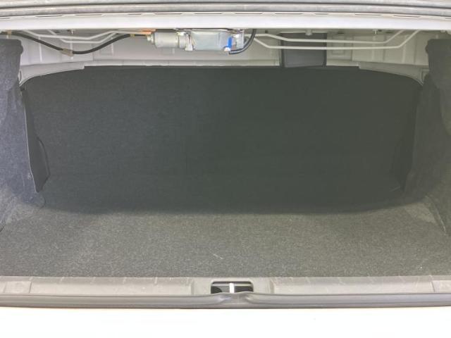 22605669_carP_l_17.jpg