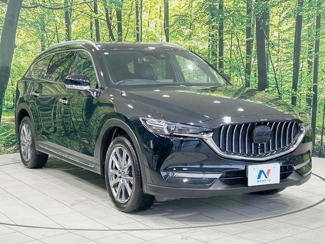 26751527_carP_l_12.jpg