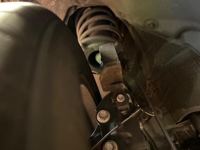 25344593_carP_l_20.jpg
