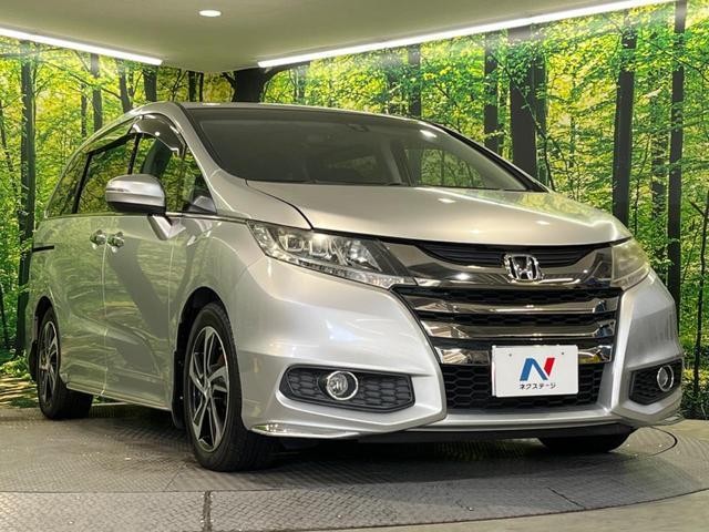 26946897_carP_l_12.jpg