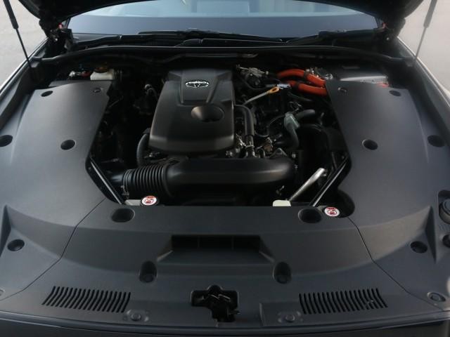 25928186_carP_l_17.jpg