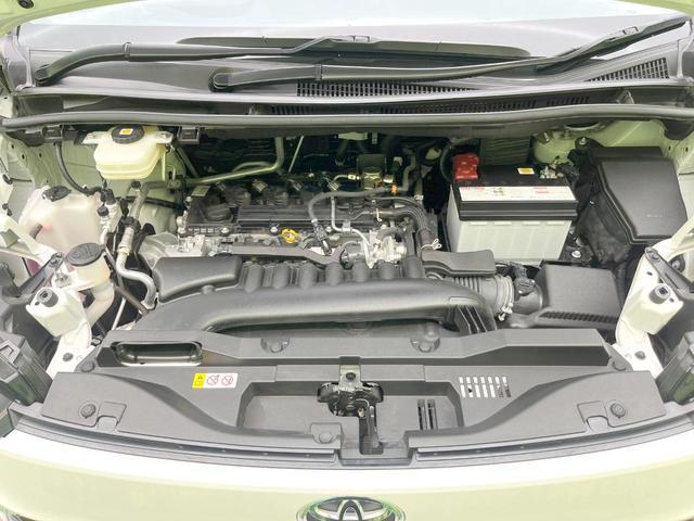 24767632_carP_l_18.jpg