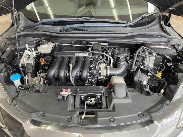 25256655_carP_l_16.jpg