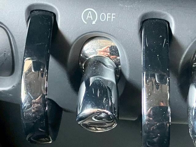 24314489_carP_l_14.jpg