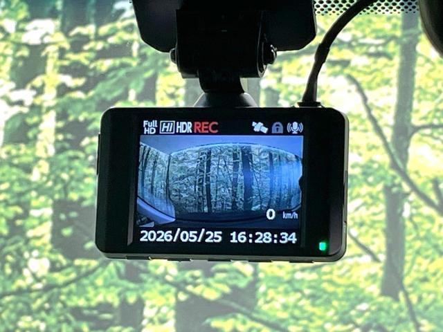 24179974_carP_l_13.jpg