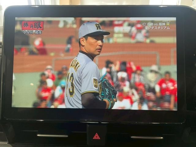 24867140_carP_l_17.jpg