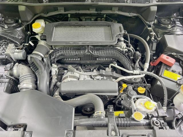 26794498_carP_l_16.jpg