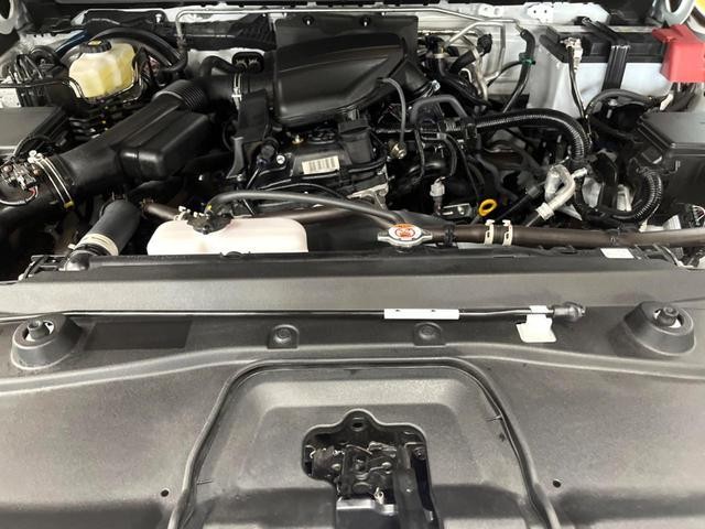26209589_carP_l_20.jpg