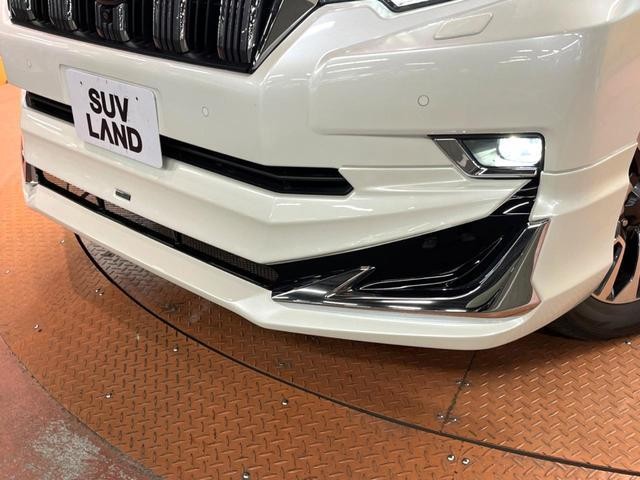 26167879_carP_l_15.jpg