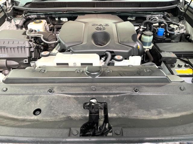 26167879_carP_l_16.jpg