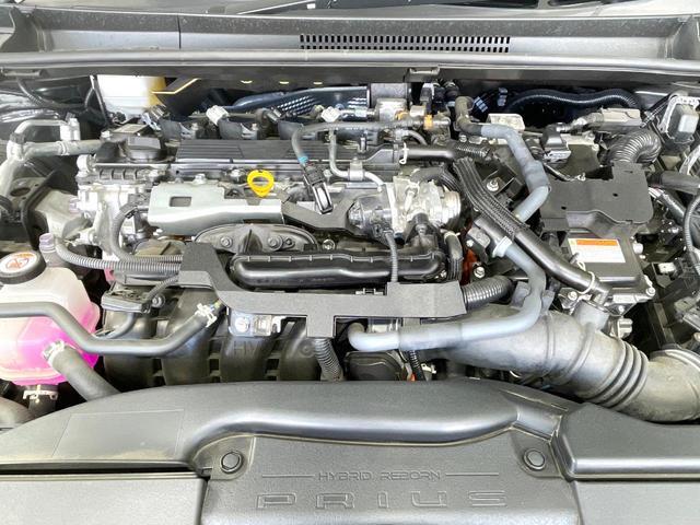 24542171_carP_l_16.jpg