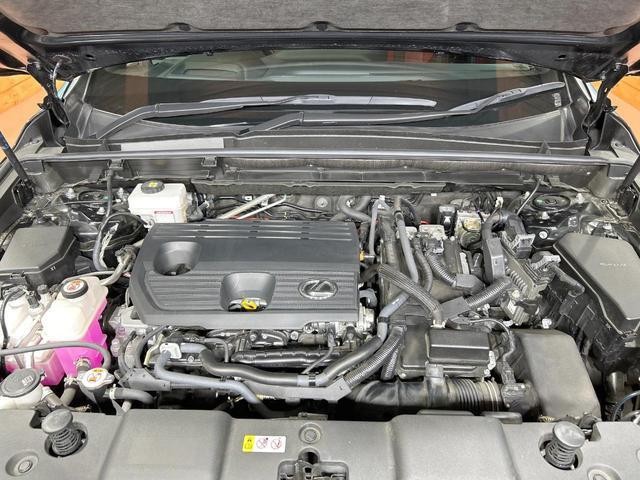 25507275_carP_l_16.jpg