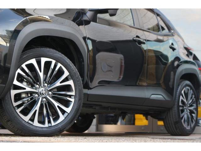 23655671_carP_l_7.jpg