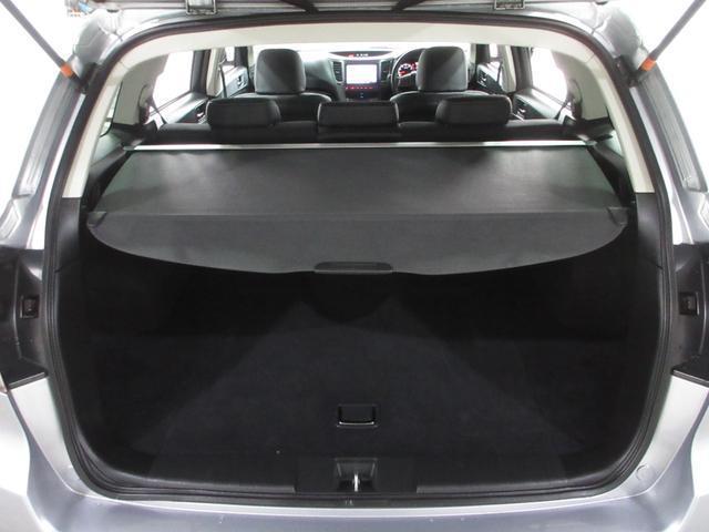 24084803_carP_l_9.jpg