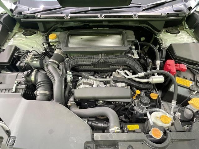 25076386_carP_l_16.jpg