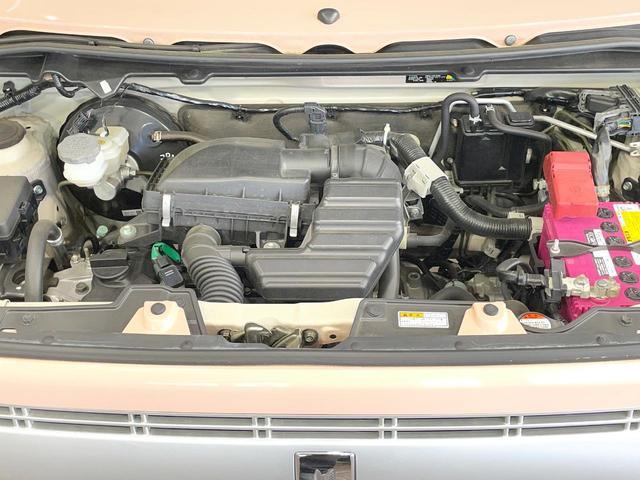 24008751_carP_l_12.jpg