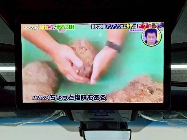24576293_carP_l_10.jpg