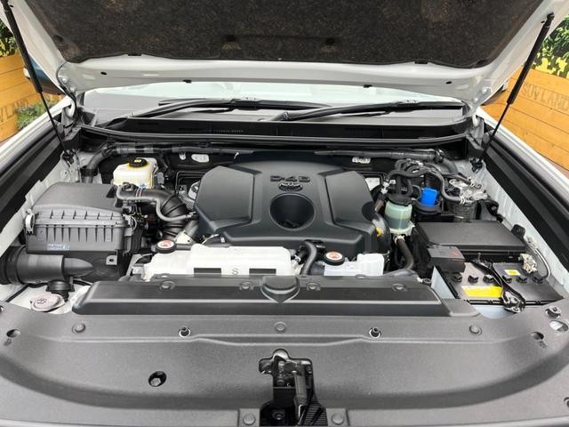 26209793_carP_l_20.jpg
