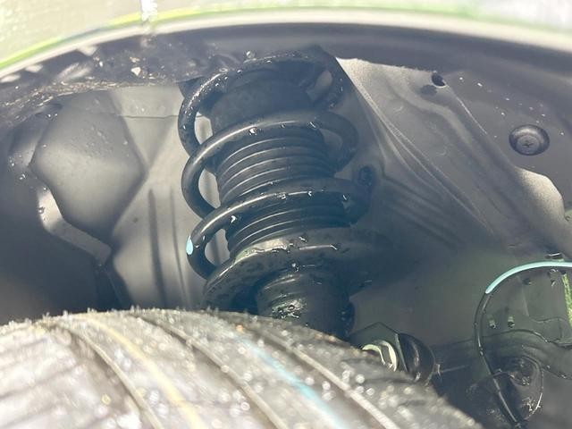 25283936_carP_l_20.jpg