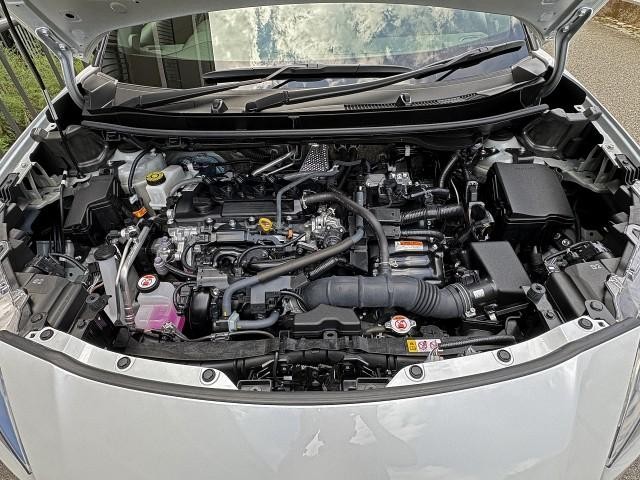 26043467_carP_l_17.jpg
