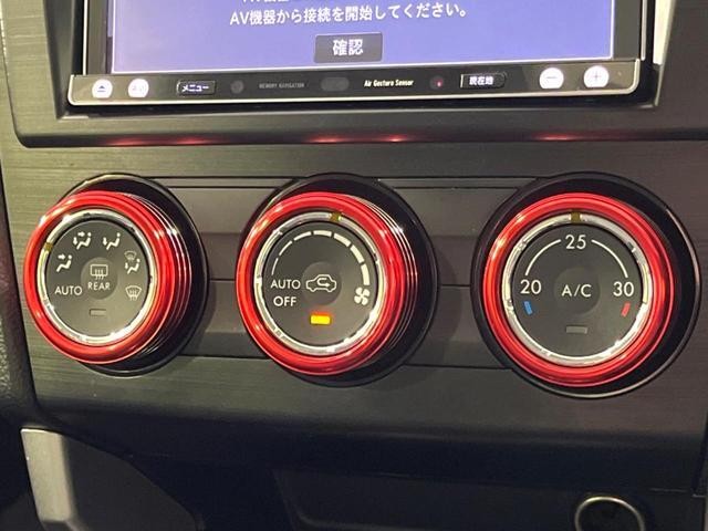 24912862_carP_l_10.jpg