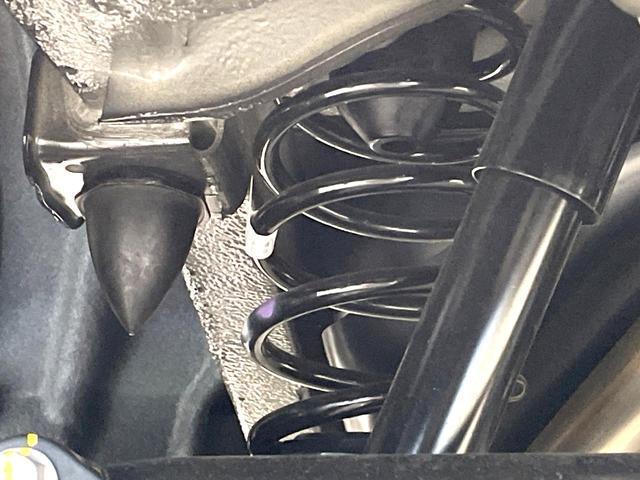 24421851_carP_l_20.jpg