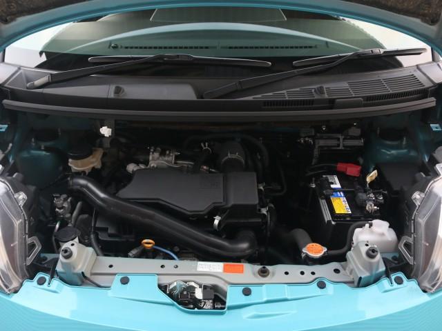 24649700_carP_l_17.jpg