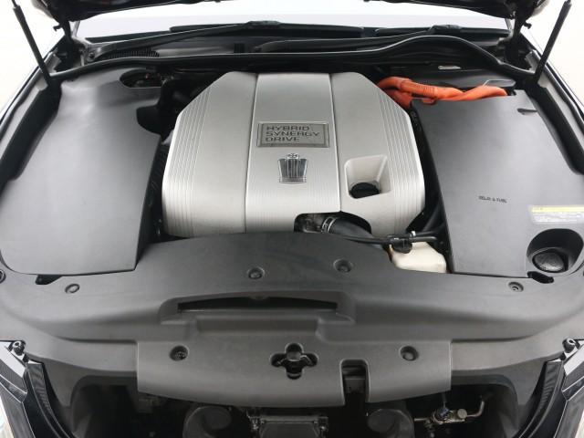 24185196_carP_l_17.jpg