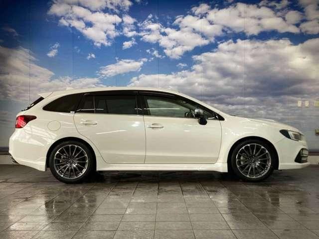 23673796_carP_l_7.jpg