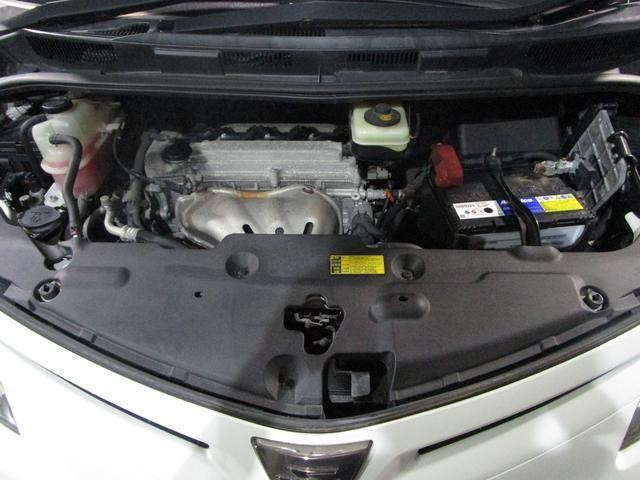25257346_carP_l_20.jpg