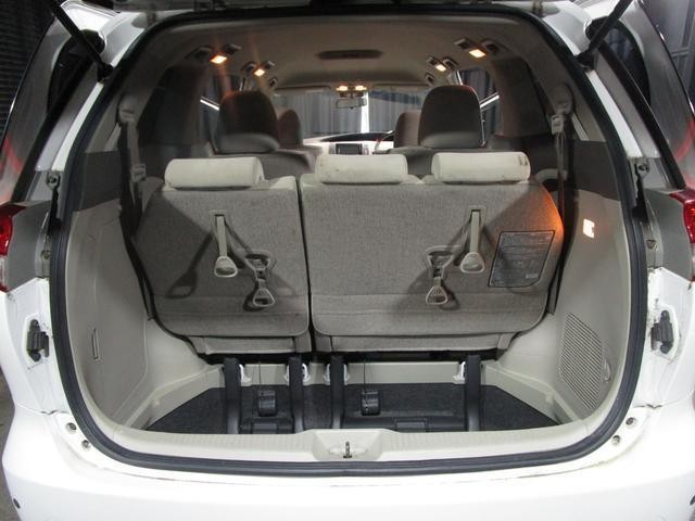 25257346_carP_l_9.jpg