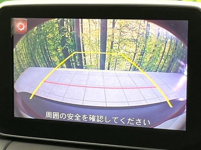25611941_carP_l_10.jpg