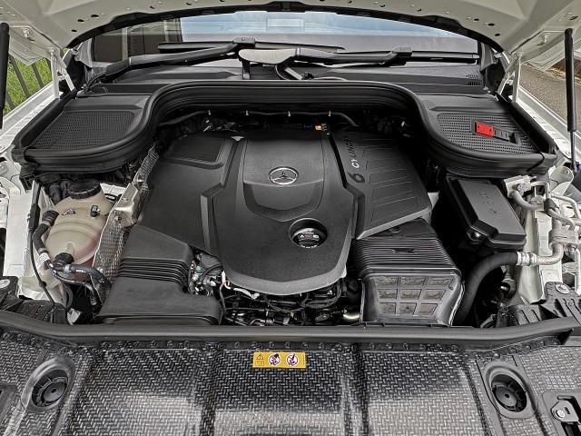 24547082_carP_l_17.jpg