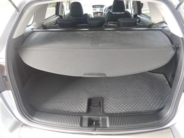 24869861_carP_l_5.jpg