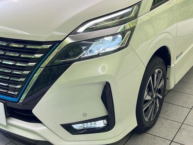 26168000_carP_l_7.jpg