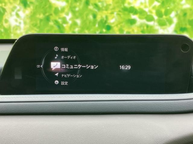 23353365_carP_l_6.jpg