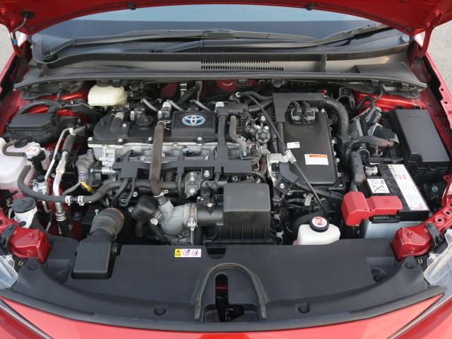 23640627_carP_l_17.jpg