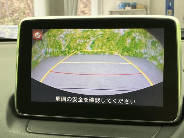 23422381_carP_l_8.jpg