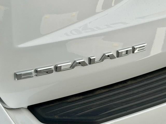 24747566_carP_l_18.jpg