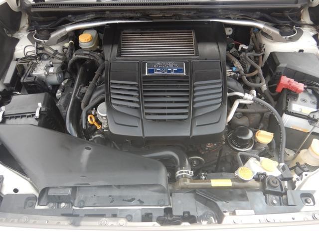 24869862_carP_l_16.jpg