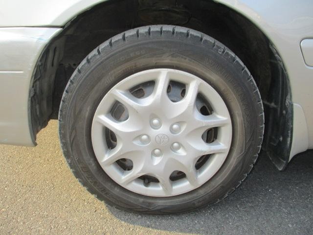 26064371_carP_l_20.jpg