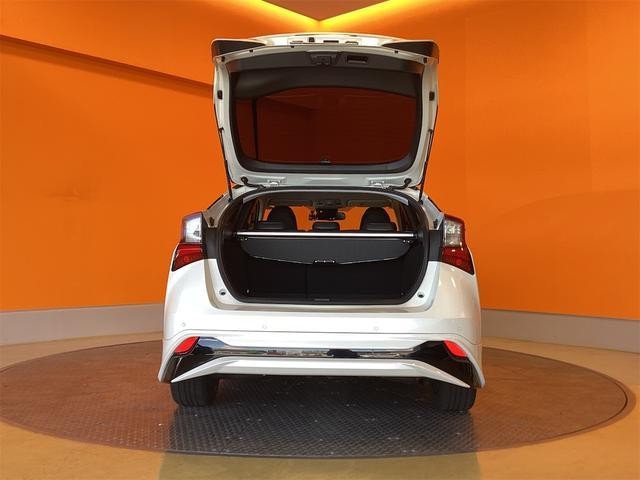 24802856_carP_l_7.jpg