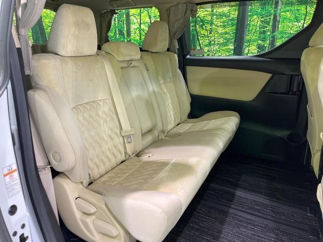 26105952_carP_l_19.jpg