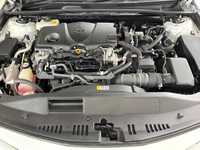 23674914_carP_l_16.jpg
