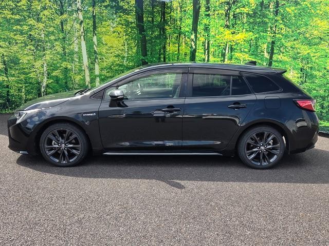 25788185_carP_l_17.jpg