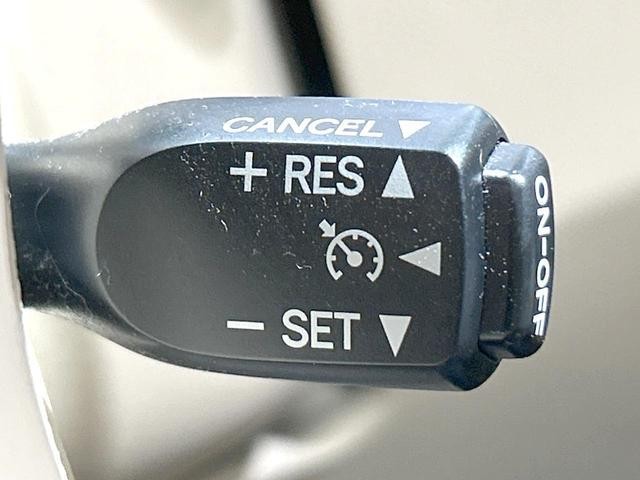 26794521_carP_l_14.jpg