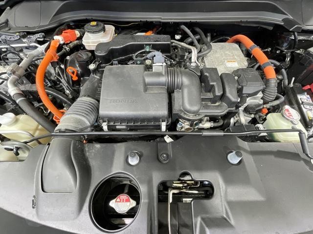 26794590_carP_l_16.jpg