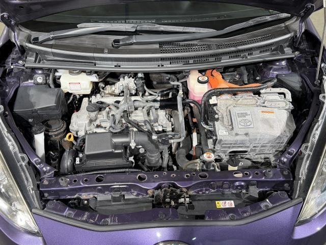 26435966_carP_l_17.jpg