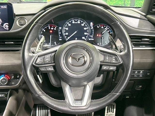 24953515_carP_l_5.jpg