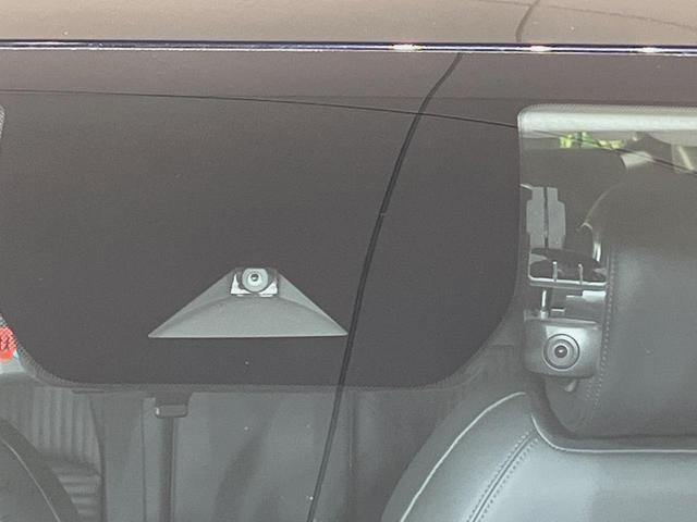 26667353_carP_l_15.jpg